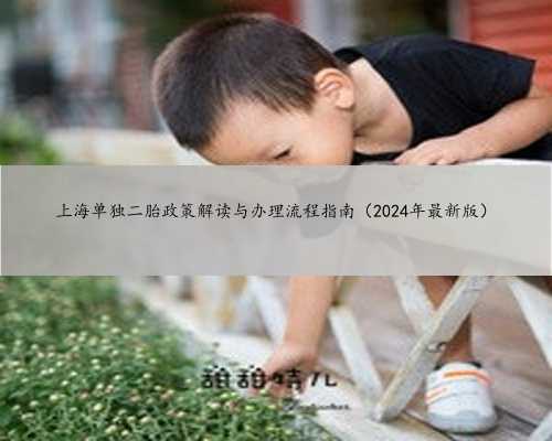 上海单独二胎政策解读与办理流程指南（2024年最新版）